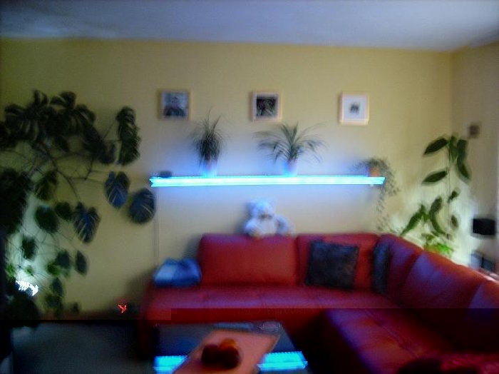 DSCI0019 regal.JPG (48.53 KiB) 13567 mal betrachtet DSCI0019 regal.JPG