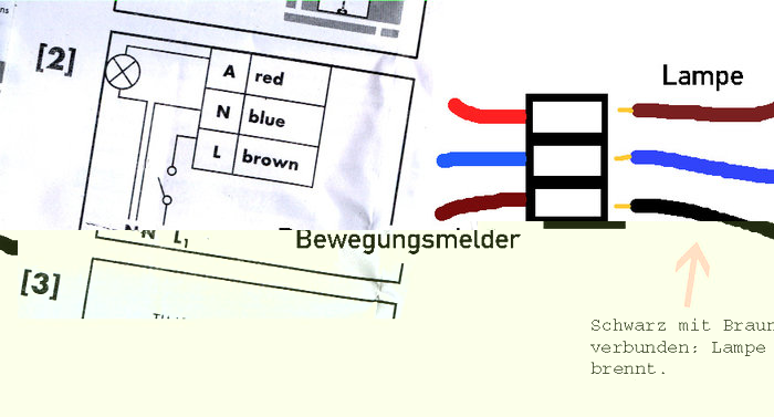 Bewegungsmelder.jpg